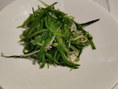 -席家花园(巨鹿花园店)