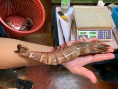 -ZF Seafood Restaurant 卓峰海鲜餐