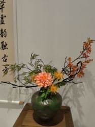 -皇族养心堂·净痘·修敏·御颜