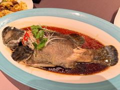 清蒸老虎斑-百富源·海鲜辽菜(浑河堡店)