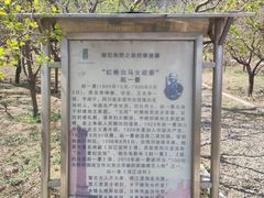 -北京凤凰岭