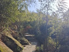 -长沙黑麋峰国家森林公园