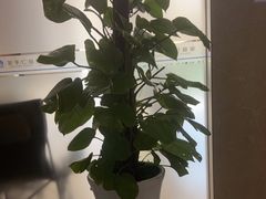 -圣贝口腔医院(高新院区)