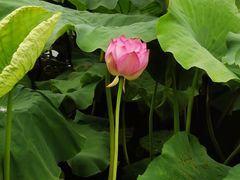 -千龙湖生态旅游度假区