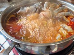 -弘烨 贵州酸汤 鱼火锅(东财店)