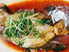 清蒸老鼠斑-顺德了能馆(虎门店)
