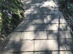 -重庆抗战遗址博物馆