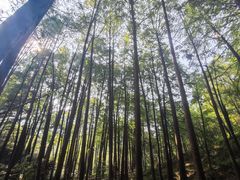 -波尔登森林公园