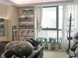 -碧莲盛·不剃发植发