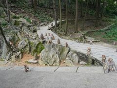 -黔灵山公园