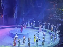 -重庆国际马戏城