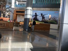 -达拉斯 沃斯堡国际机场