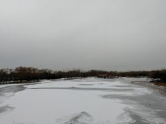 -大兴滨河森林公园