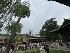 -晋祠公园
