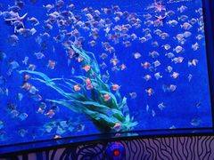 -沈阳海洋探索中心