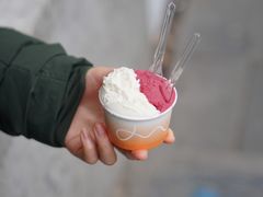 -Dip in Gelato(富民路店)