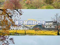 -塔川景区