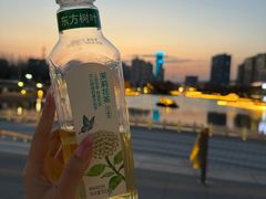 -雁滩公园