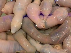 -老虎滩船说·大连海鲜(老虎滩店)