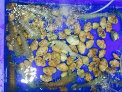 -QQ海鲜餐厅