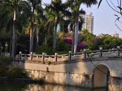 -南宁南湖公园