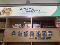 -瑞派长江宠物医院·猫科·外科·24小时夜护(谊城公寓分院)