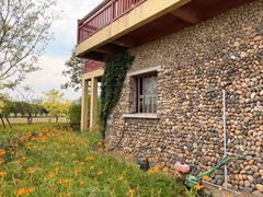 -杭州湾海上花田景区