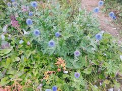 -白草畔自然风景区