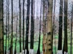 -桤木河湿地公园