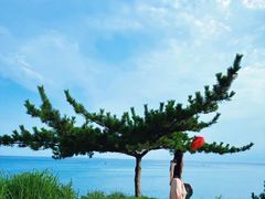 -养马岛旅游度假区