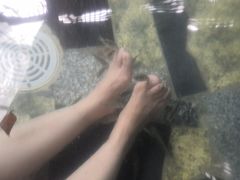 -宁海森林温泉