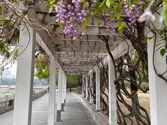 -莲花池公园