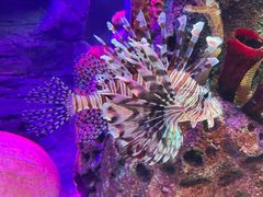 -沈阳海洋探索中心