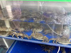 -阳澄湖大闸蟹·琼灵阁牌品牌连锁(吴中总店)