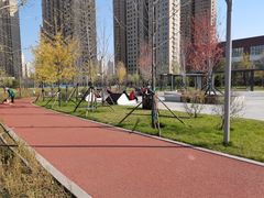 -长白岛森林公园