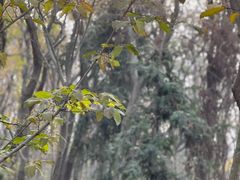 -南京金牛湖风景区