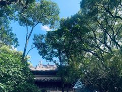 -天一阁博物院