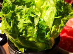 -快乐小羊·内蒙牛羊肉火锅(流花中心店)