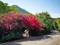 -广州市石门国家森林公园