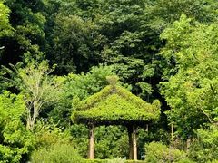 -云溪植物园