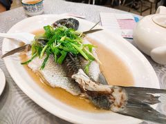 姜葱蒸水库瘦身鲩鱼-粤·向群饭店(龙津东路总店)