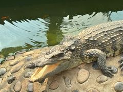 -石家庄市动物园