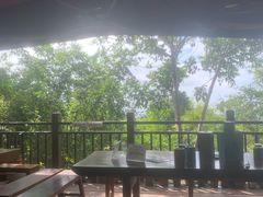 -亚龙湾热带天堂森林公园