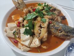 -煲来饱去冷水鱼