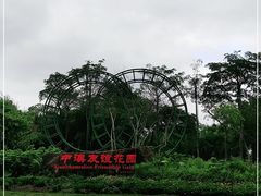 -中澳友谊花园
