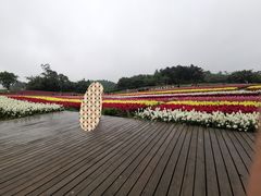 -保利石象湖景区