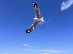 -青海湖二郎剑景区
