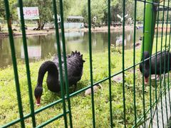 -长白岛森林公园