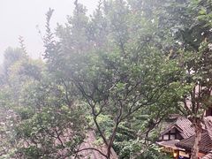 -见山书院