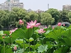 -济南大明湖景区